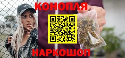 крисы Брянск