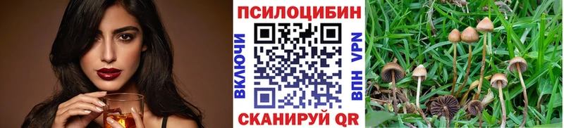 Галлюциногенные грибы ЛСД Новомосковск
