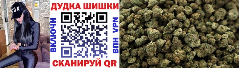 Шишки марихуана планчик  Новомосковск 